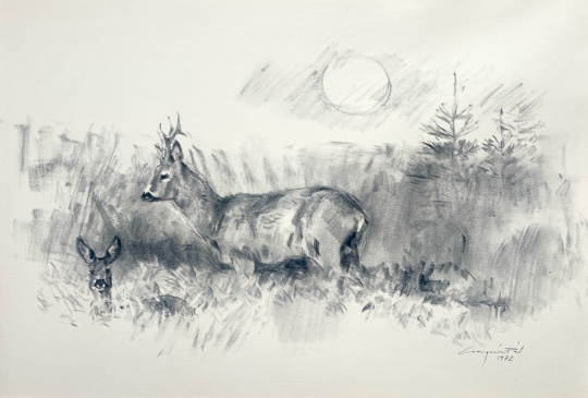 Csergezán Pál (1924-1996) | A vadvilág festője