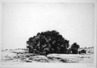 Boldizsár, István: Trees at the wheatfield