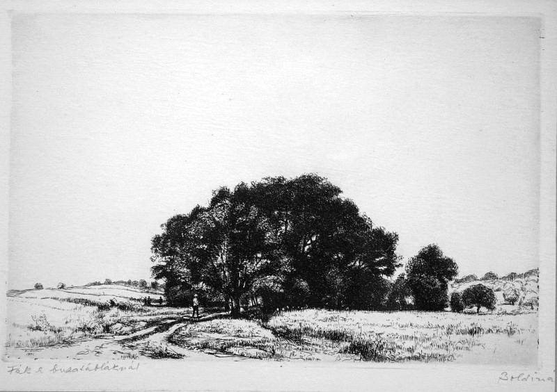 Boldizsár, István: Trees at the wheatfield