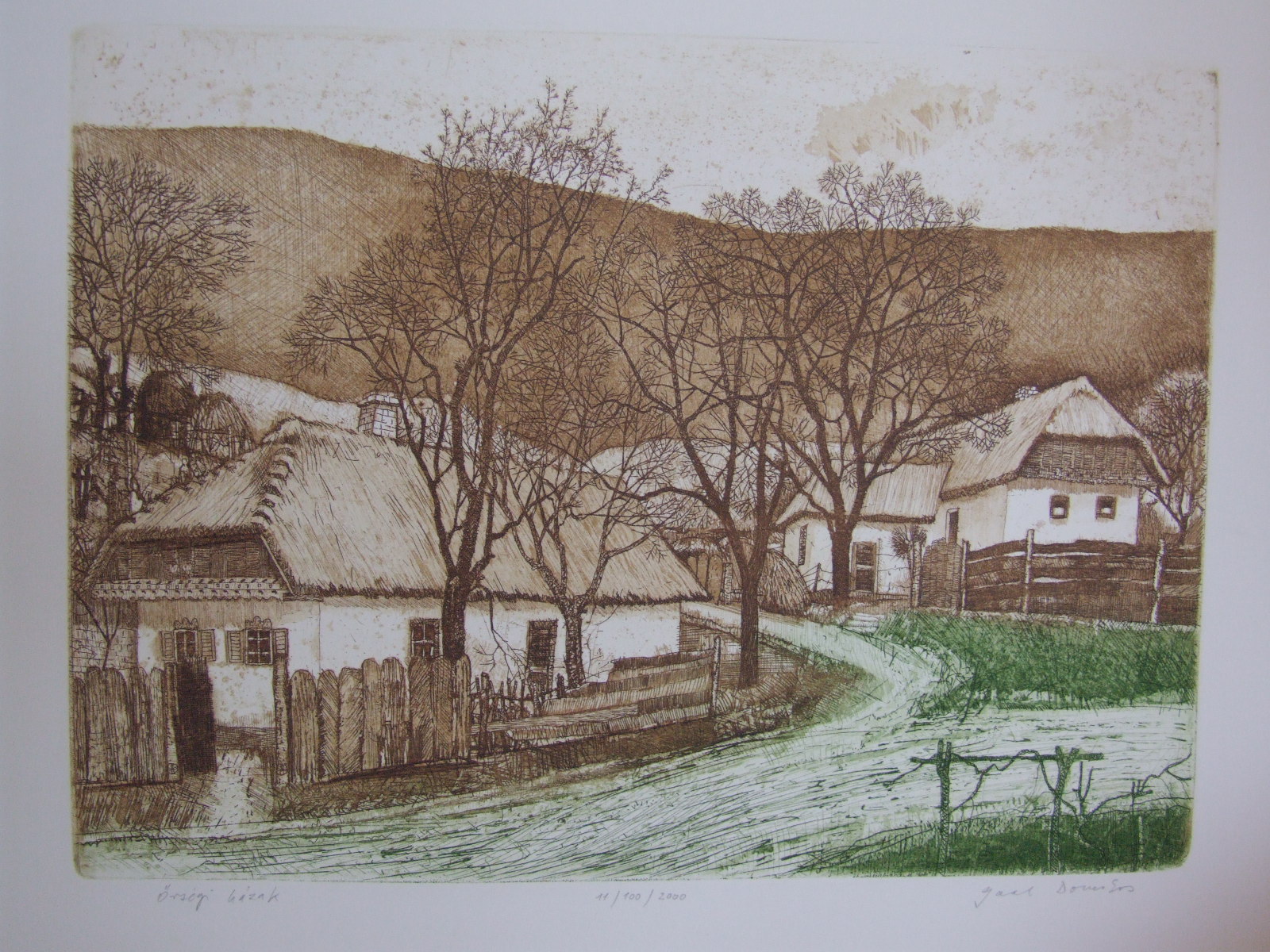 Gaál, Domokos: Houses in the Örség