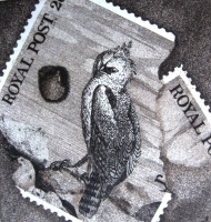 Imre, István jun.: Fragment