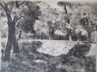 Biai-Föglein, István: Landscape-Forest