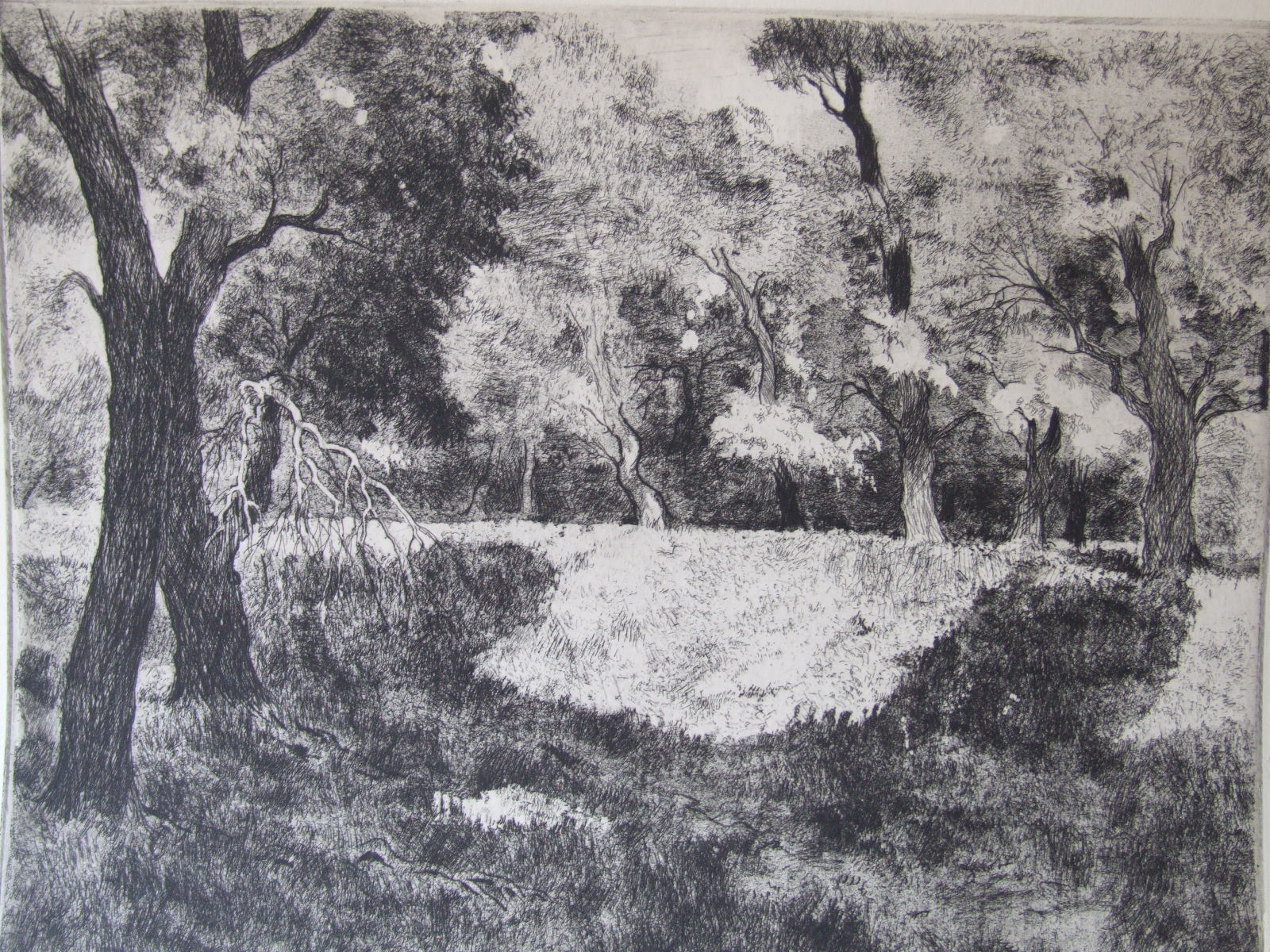 Biai-Föglein, István: Landscape-Forest