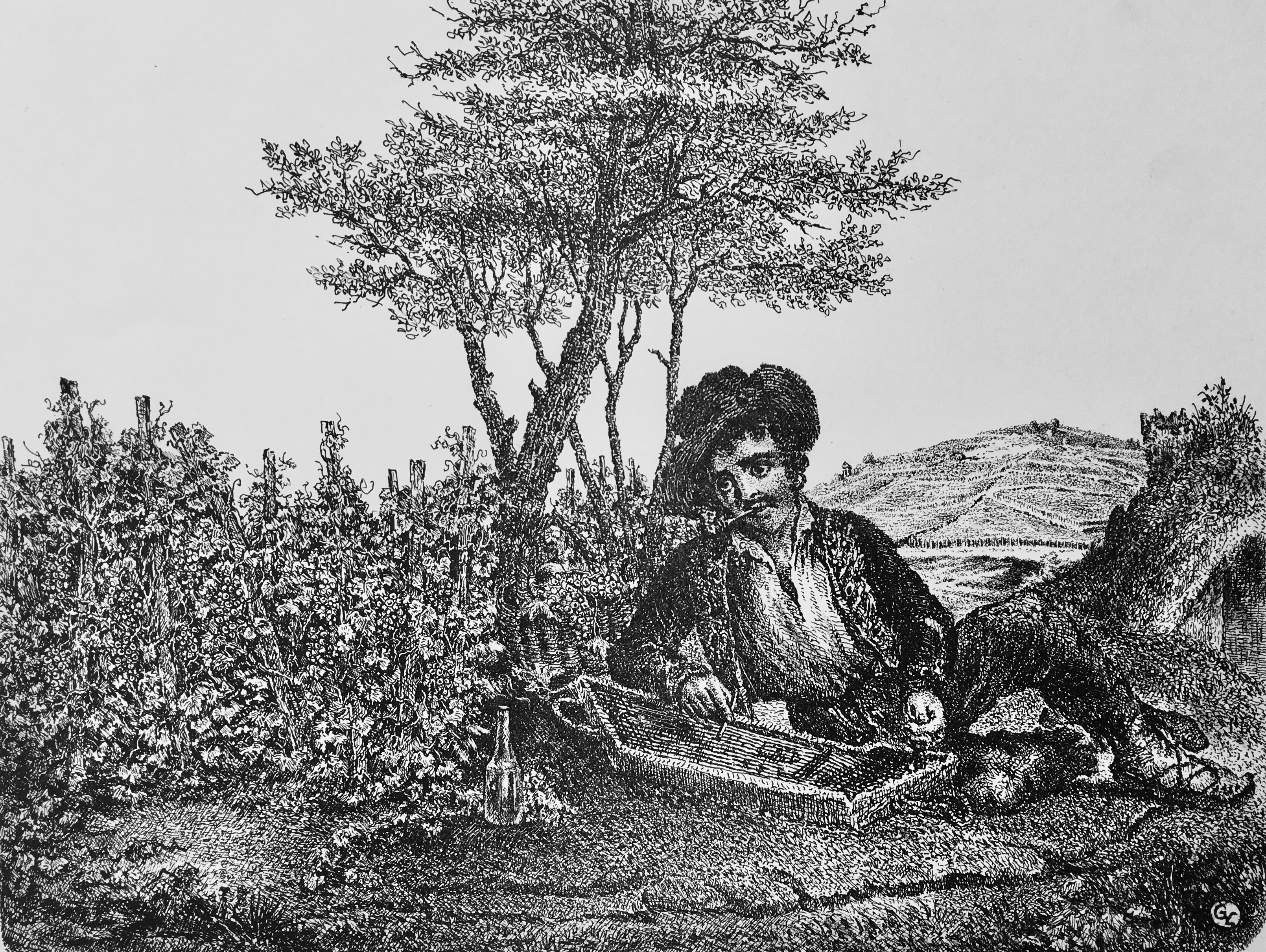 Gyulai Líviusz: Szőlőhegyen anno...
