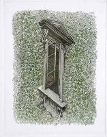 Orosz, István: Window with ivy