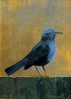 Vinczellér, Imre: Der blaue Vogel