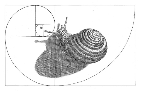 Orosz, István: Die Schnecke