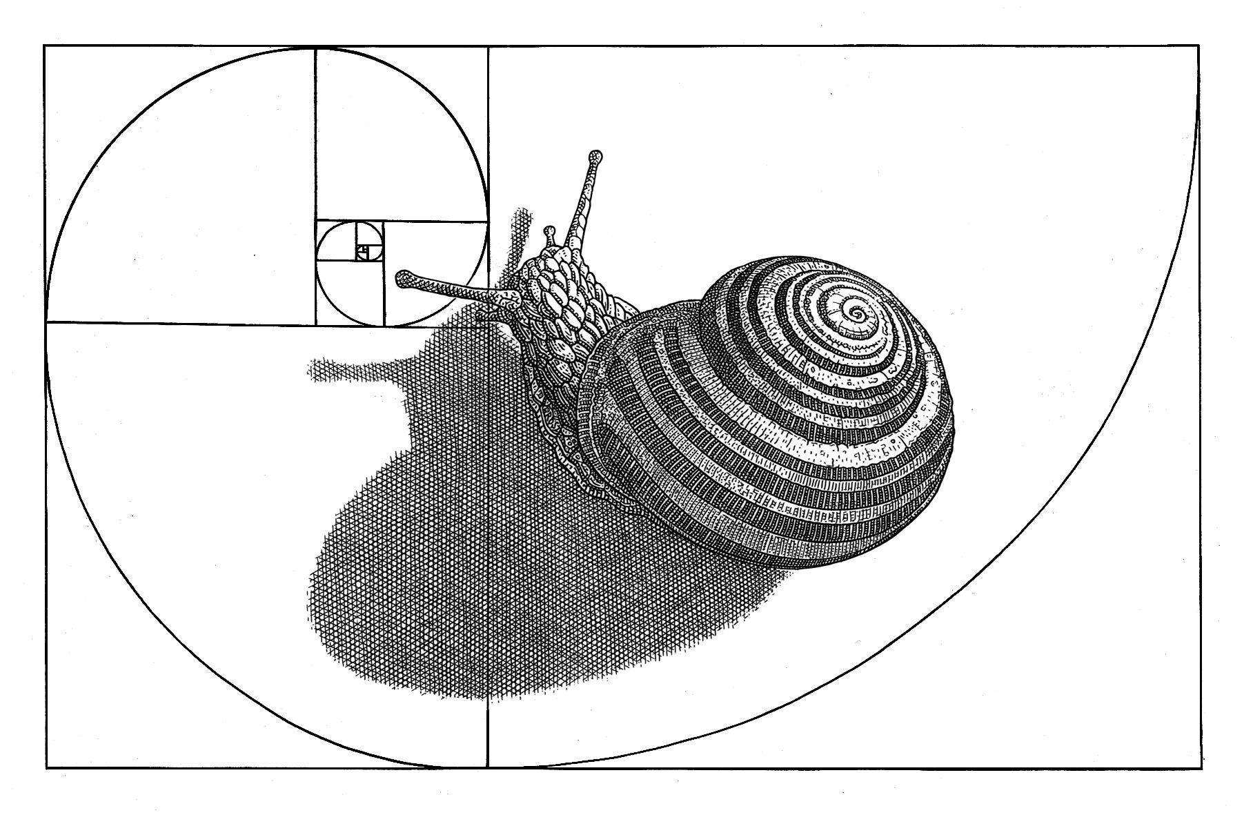 Orosz, István: The snail