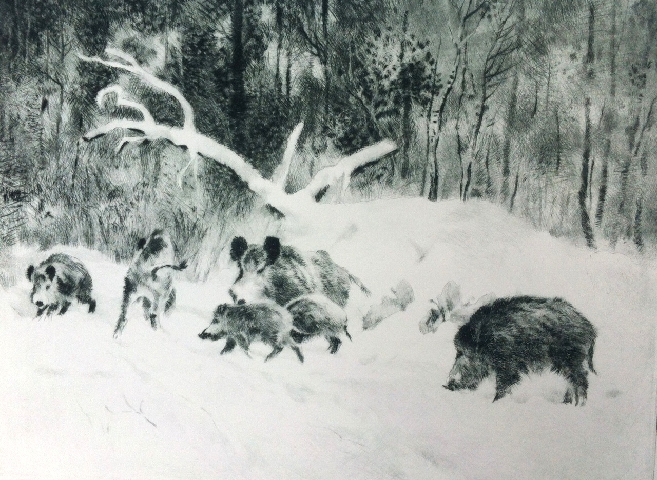 Csergezán, Pál: The boars