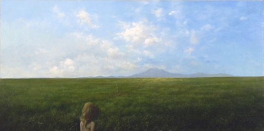 Pajevic, Vladimir: The silence of the Lawn