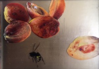 Hús, Zoltán: Apricot
