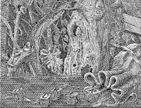 Orosz István: Dürer az erdőben