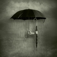 Ambrits,Tamás: Regenschirm