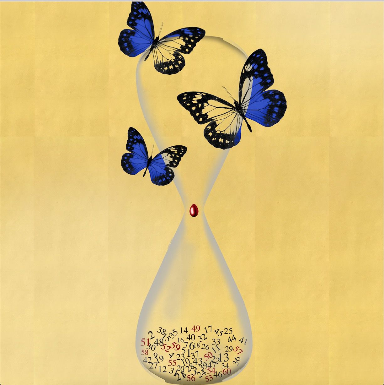 Veronese Marco: Wir definieren das Leben eines Schmetterlings als kurz, ohne seine Konzeption der Unendlichkeit zu kennen