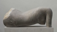 Polgár Botond: Torso