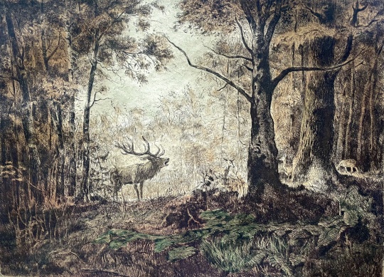 Csergezán, Pál: Deer in the forest