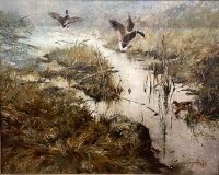 Csergezán, Pál: Wild ducks landing on water