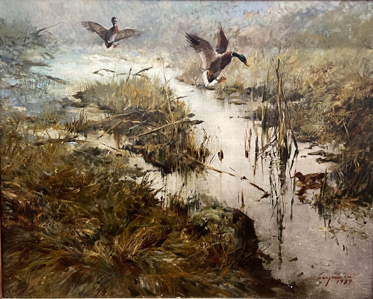Csergezán, Pál: Wild ducks landing on water