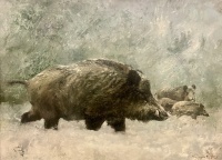 Csergezán, Pál: Wildschweines im Schnee