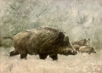 Csergezán, Pál: Wild boars in the snow