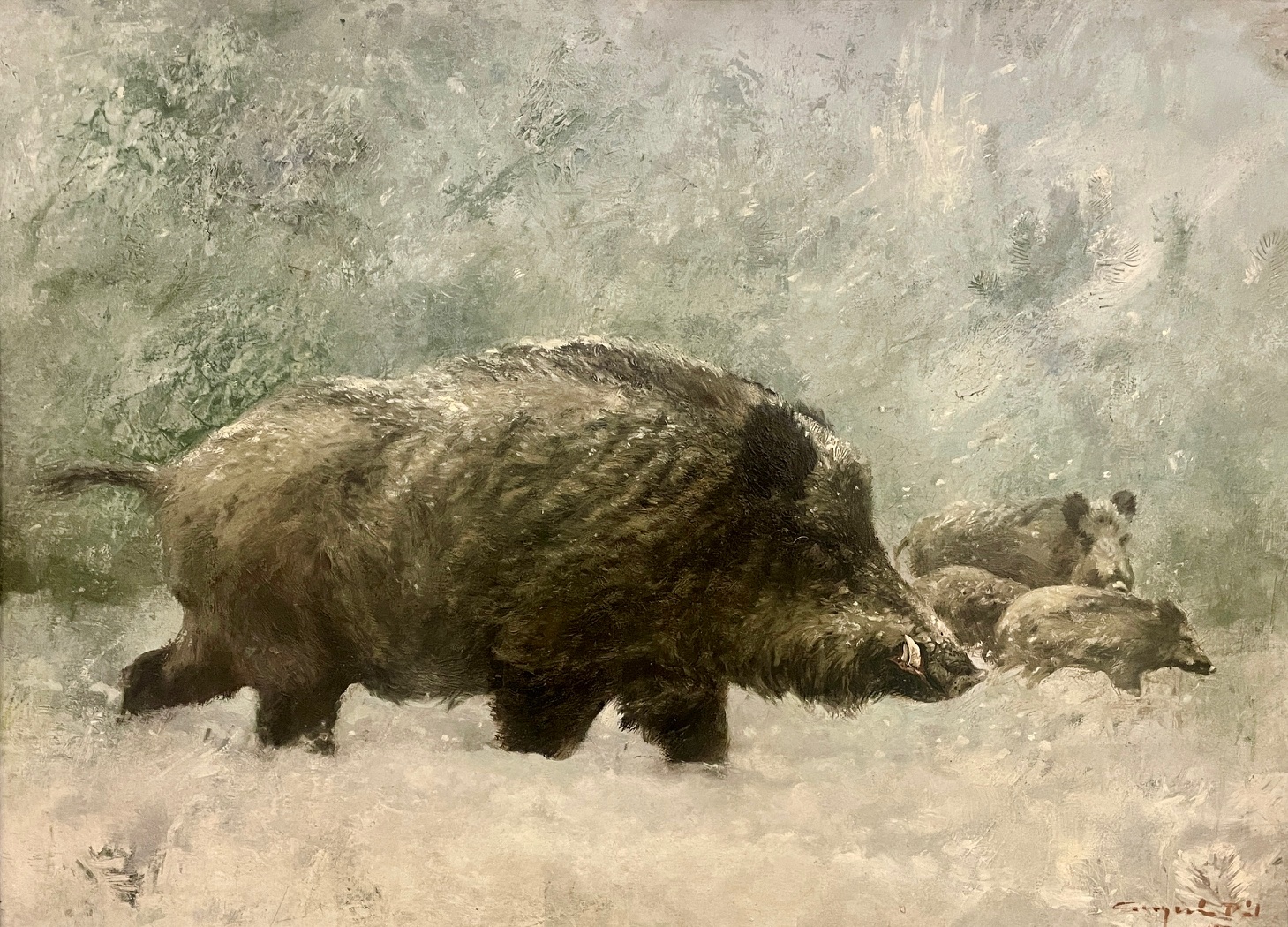 Csergezán, Pál: Wild boars in the snow