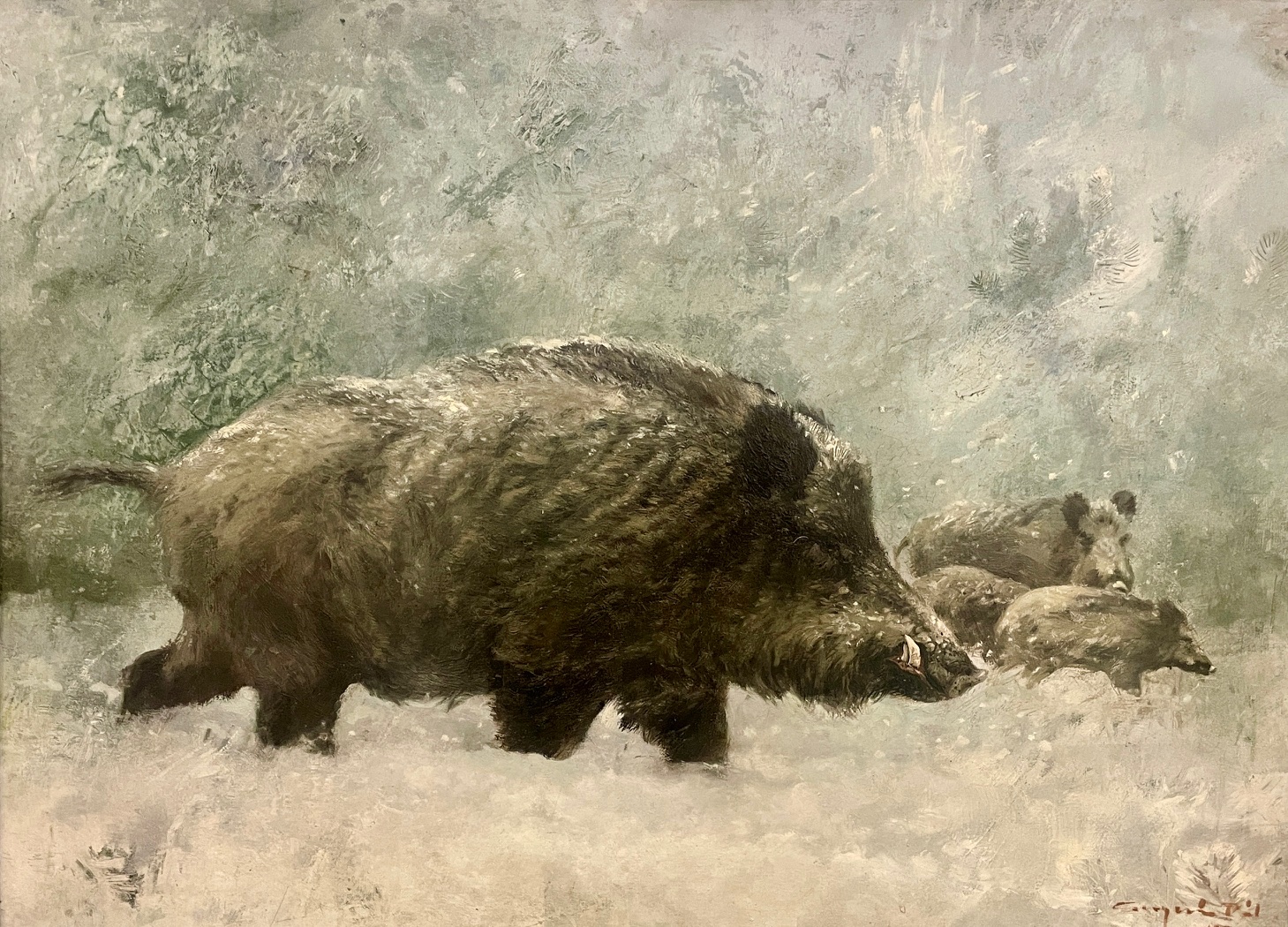 Csergezán, Pál: Wildschweines im Schnee