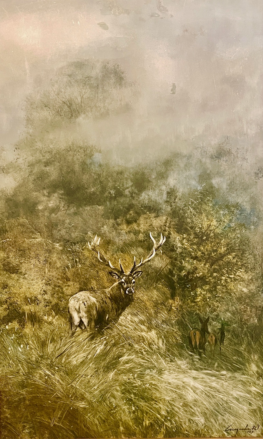 Csergezán, Pál: Deer in the meadow