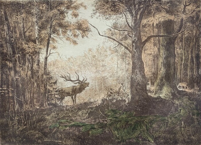 Csergezán, Pál: Hirsche auf der Wald
