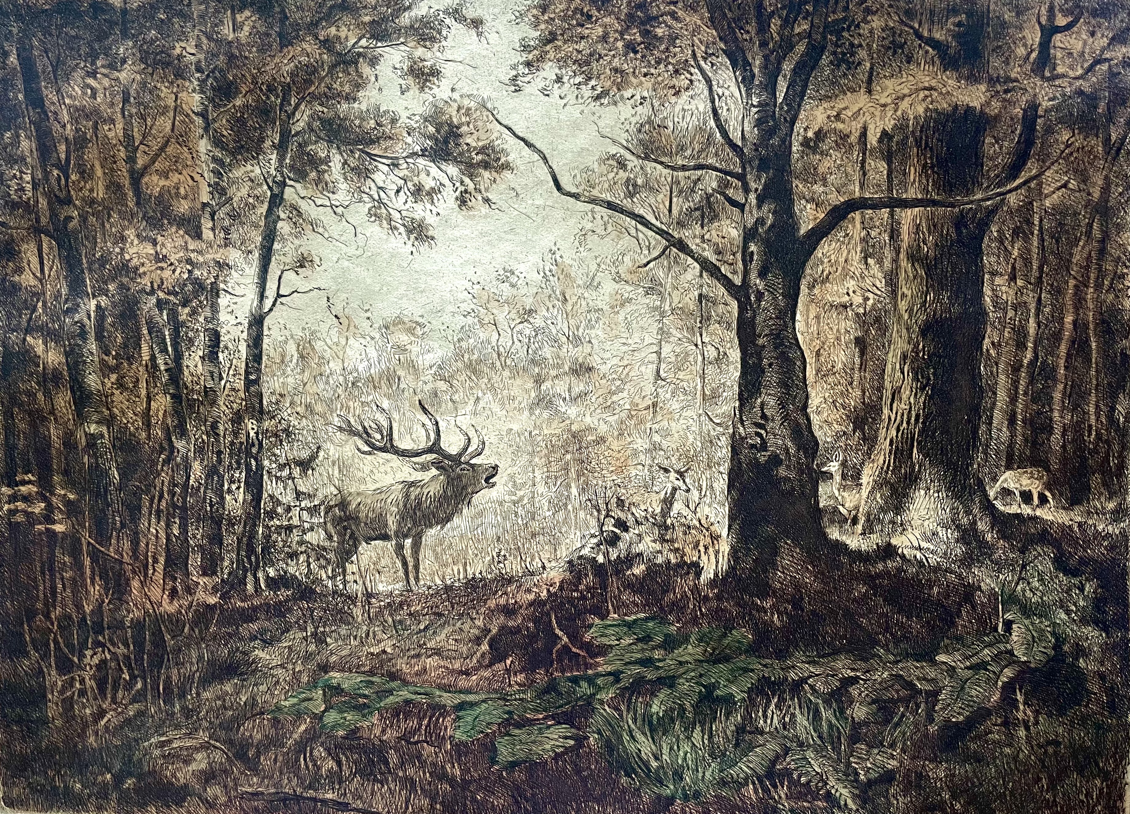 Csergezán, Pál: Deer in the forest