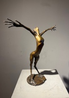 Csikszentmihályi, Róbert: Winged