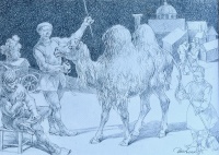 Duschanek, János: Camel