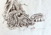 Csergezán, Pál: Frischlinge