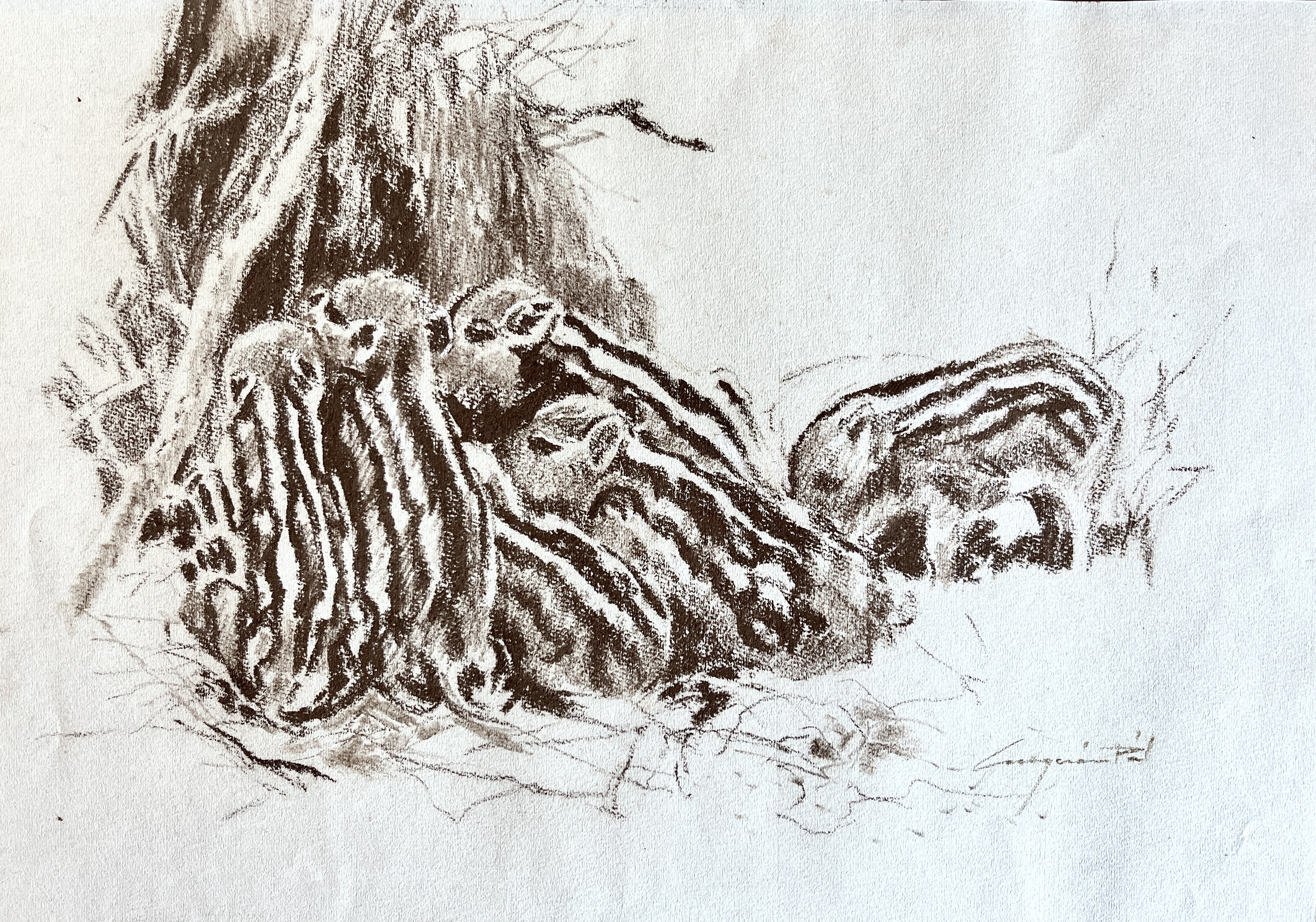 Csergezán, Pál: Frischlinge