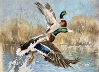 Csergezán, Pál: Wild ducks