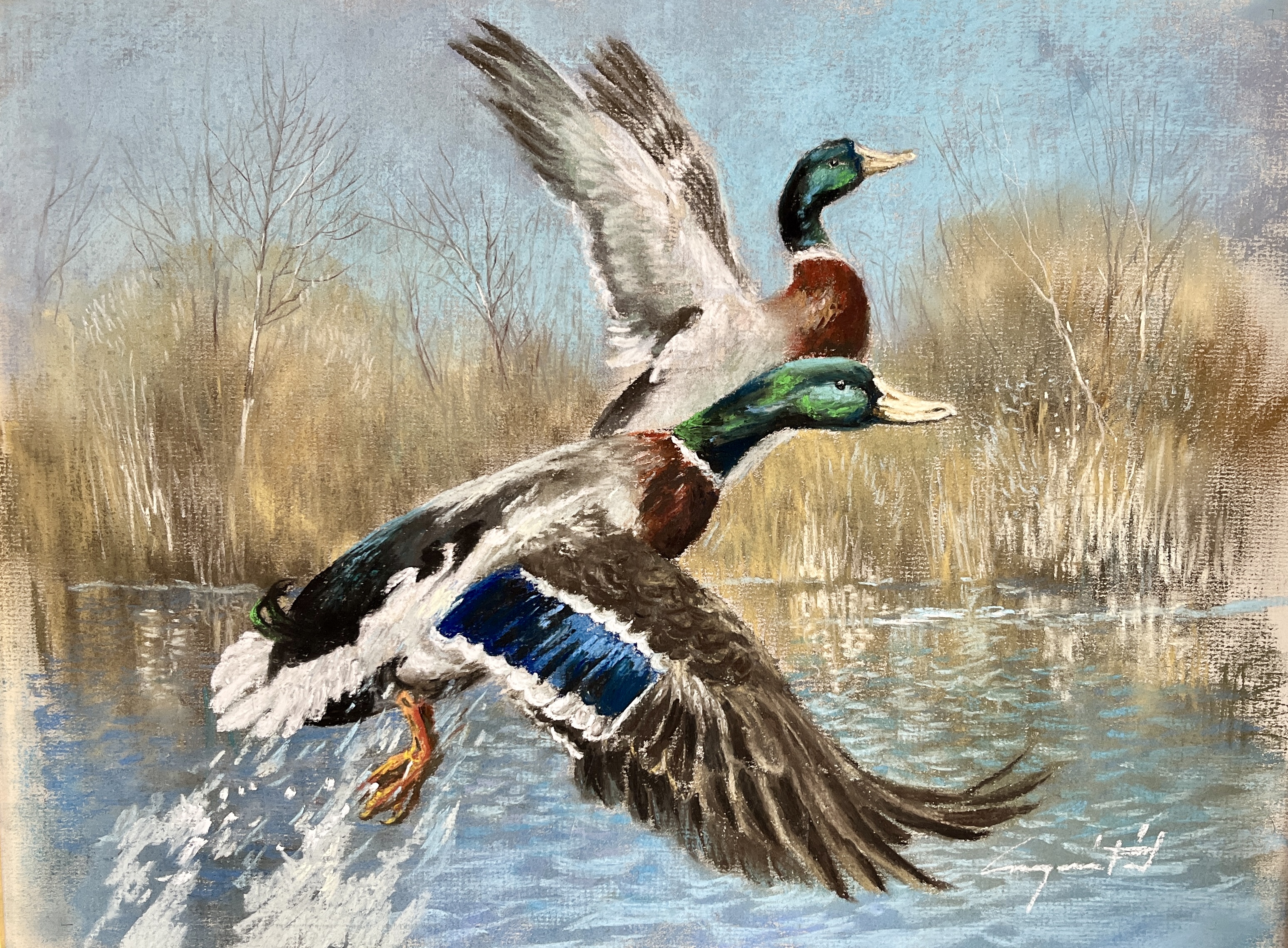 Csergezán, Pál: Wild ducks