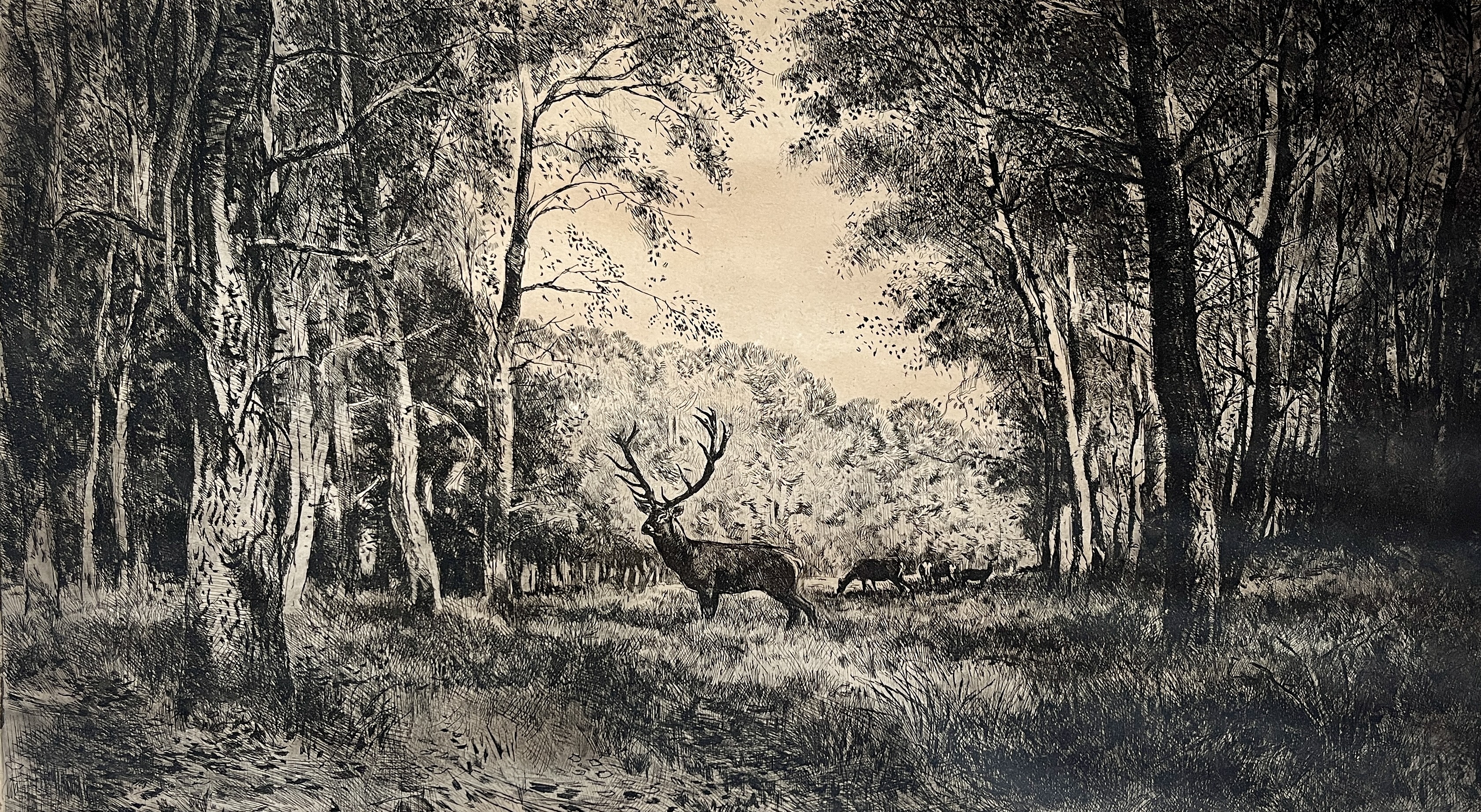 Csergezán, Pál: The worldrecord