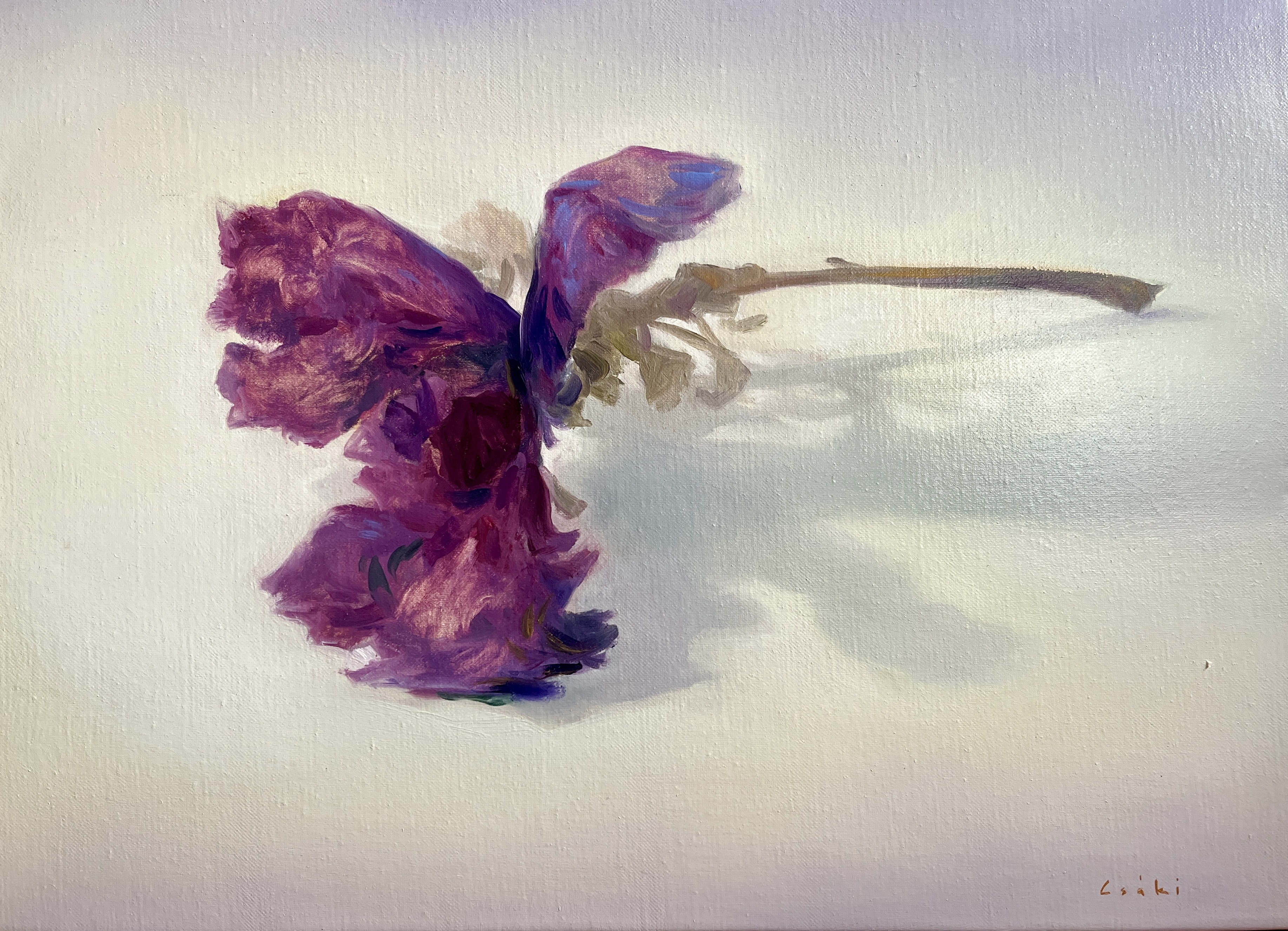 Csáki, Róbert: Iris