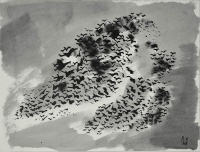 Borsos, Miklós: Vögel