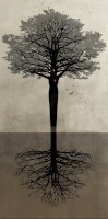 Veronese, Marco: The tree of knowledge